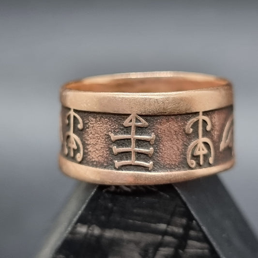 Myntring "Vegvisir"